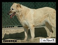 canile_asso (274).JPG