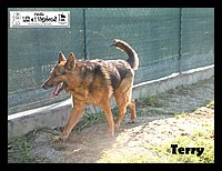 canile_asso (343).JPG