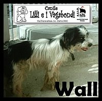 wally.jpg