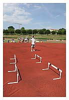 IMG_6118.JPG