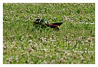 IMG_6228.JPG