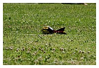 IMG_6233.JPG