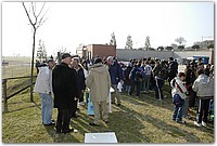 DSC_8573.JPG