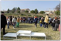 DSC_8574.JPG