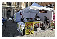 FBS_5612.JPG