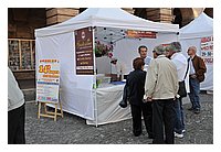 FBS_5650.JPG