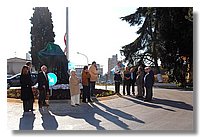 009 (Medium).JPG