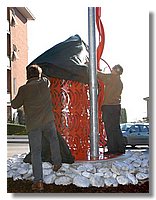 012 (Medium).JPG
