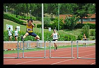 DSC_3613 (Large).JPG