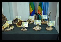 FBS_5254.JPG