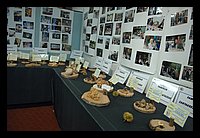 FBS_5256.JPG