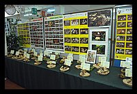 FBS_5262.JPG
