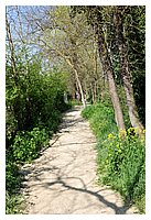 FBS_2719.JPG