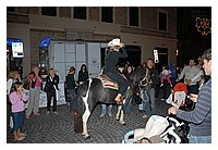 DSC_0022.JPG